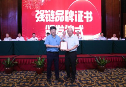 登榜！WPK官网入选首批船舶工业“强链品牌”